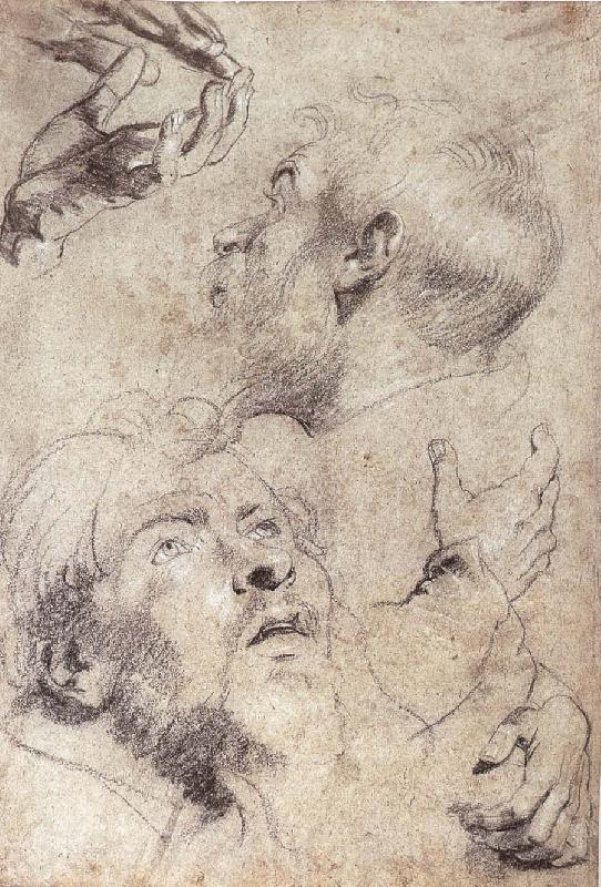 Peter Paul Rubens Four hand and two man-s head portrait Norge oil painting art